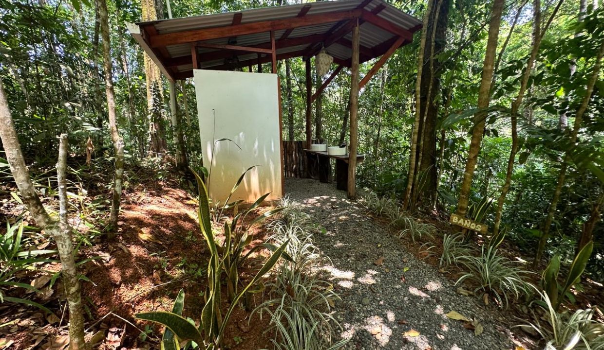 11883366-8462-4c9e-985c-bcc882b50058