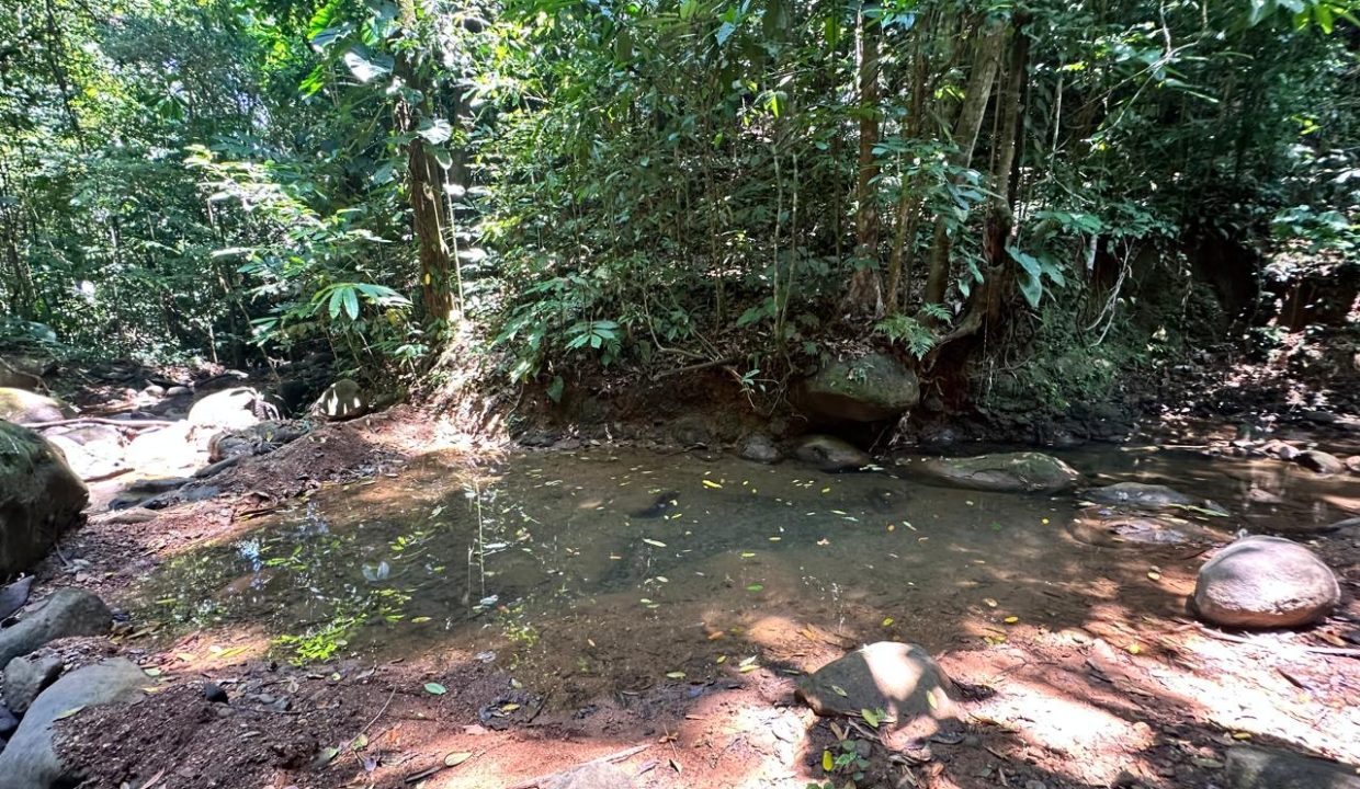 29893c5c-15ed-4368-ac4b-d5aa63a699ad