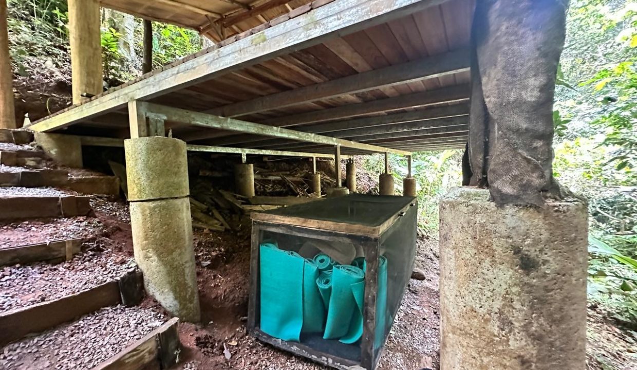 d0059252-3c90-45a6-8b27-f877679a899e