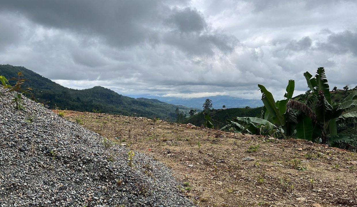 1fb52d44-61bf-4c01-bef5-97b12d939ccb