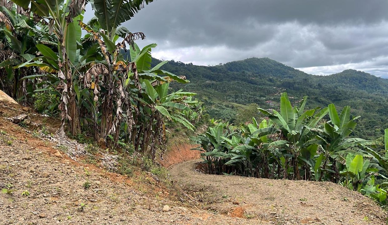 21f3b201-f1e6-4641-ad93-7a347af1f96a