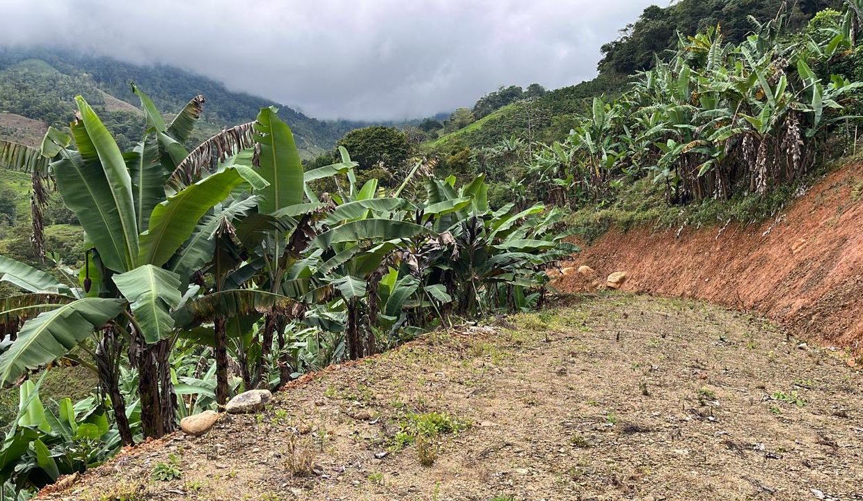 3c3f8593-db0e-4de3-b9ad-7805e3cc4143