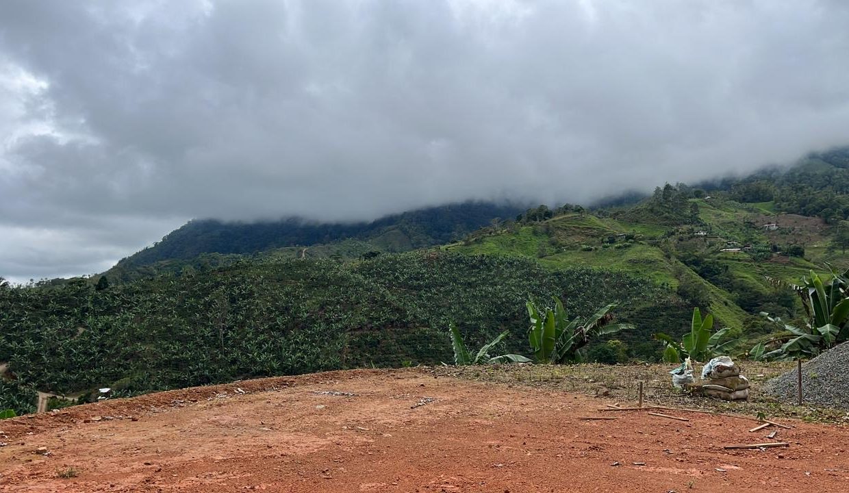 746cd7f1-826f-44d3-ab34-ba858686728d