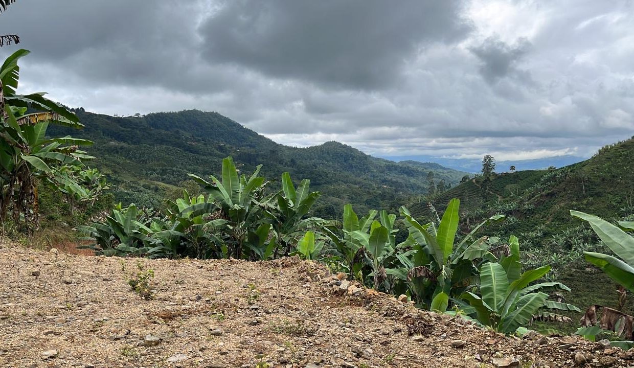 99cacd2e-e842-4e24-af38-ee41a472523f