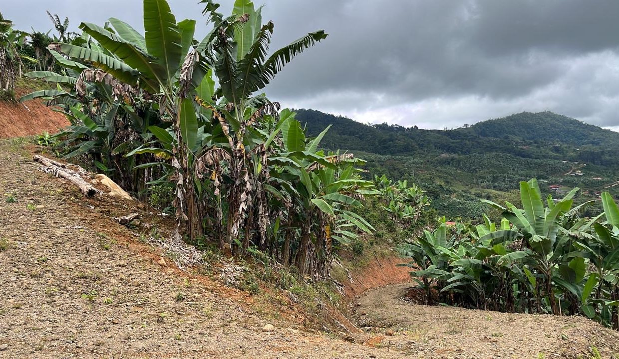 e21b9c39-6ff0-4a0f-86fa-6d85083d6119