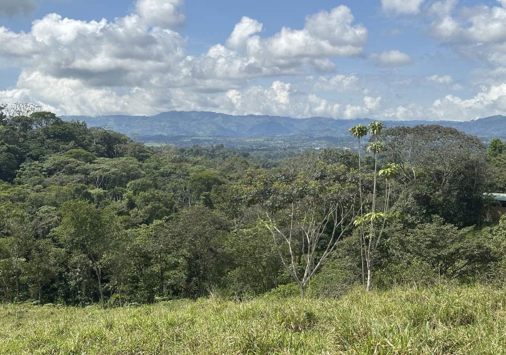 san luis property for sale (1)