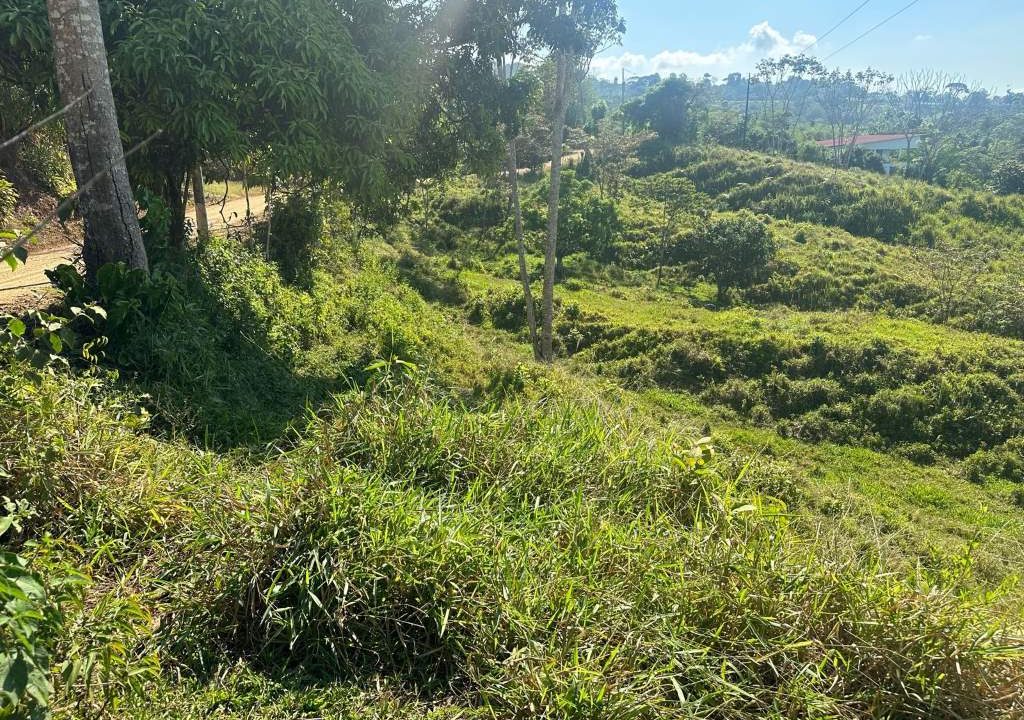 san luis property for sale (10)