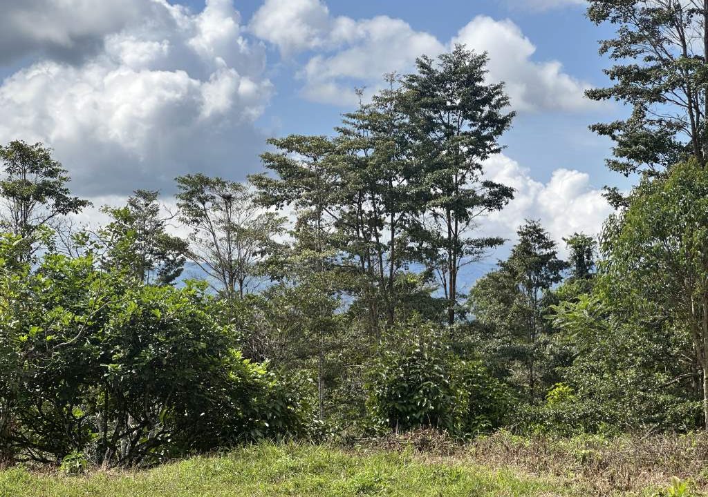 san luis property for sale (2)