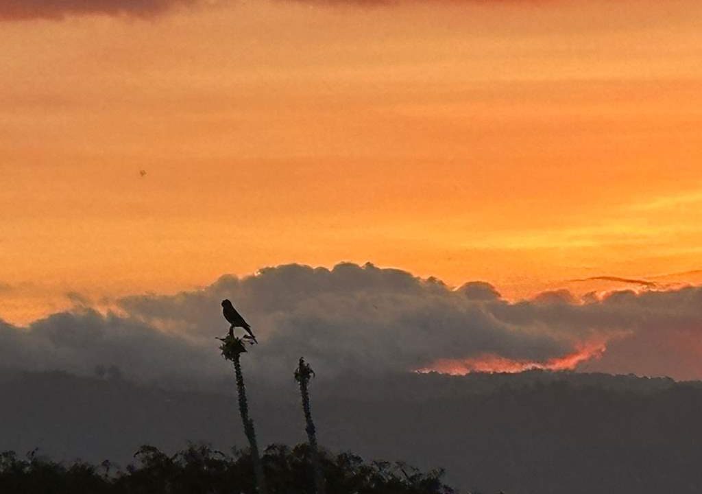 san luis property for sale (29)