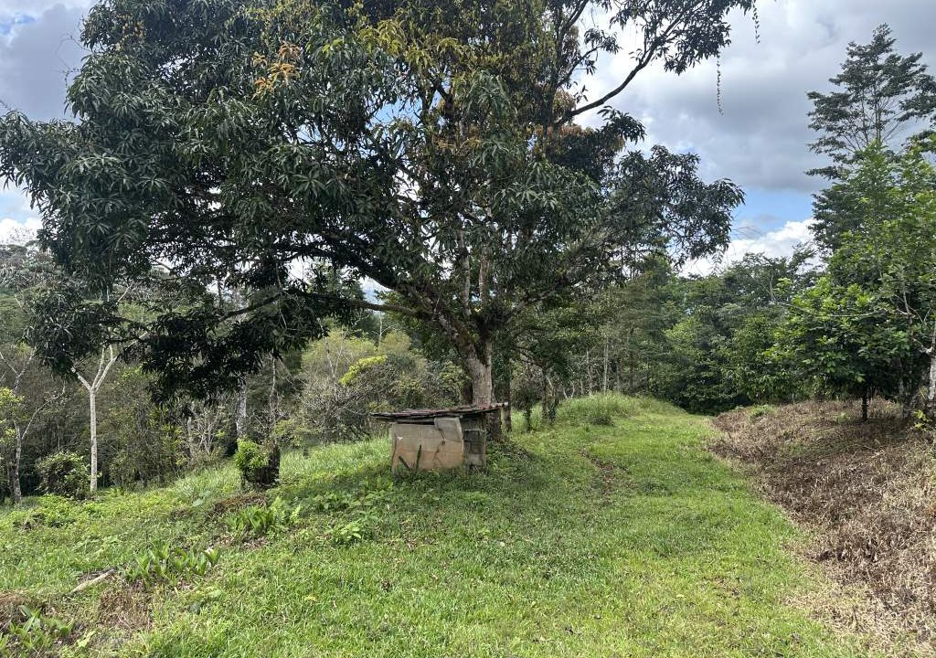 san luis property for sale (4)