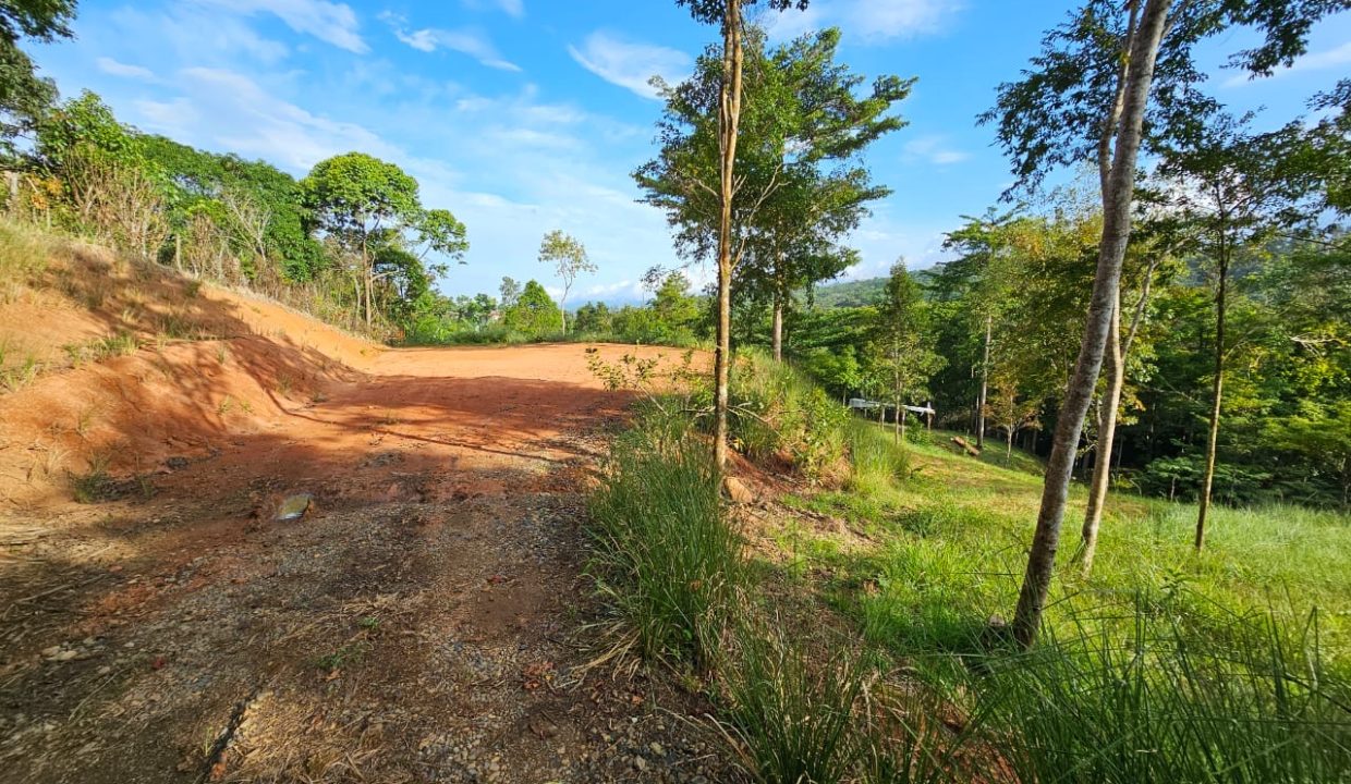 Finca Jhonny Villa Nueva Perez Zeledon Costa Rica (10)