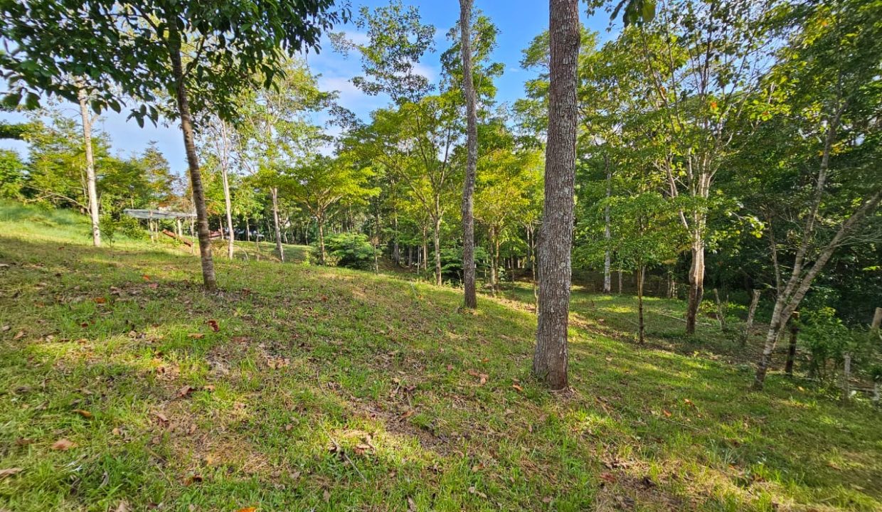 Finca Jhonny Villa Nueva Perez Zeledon Costa Rica (15)