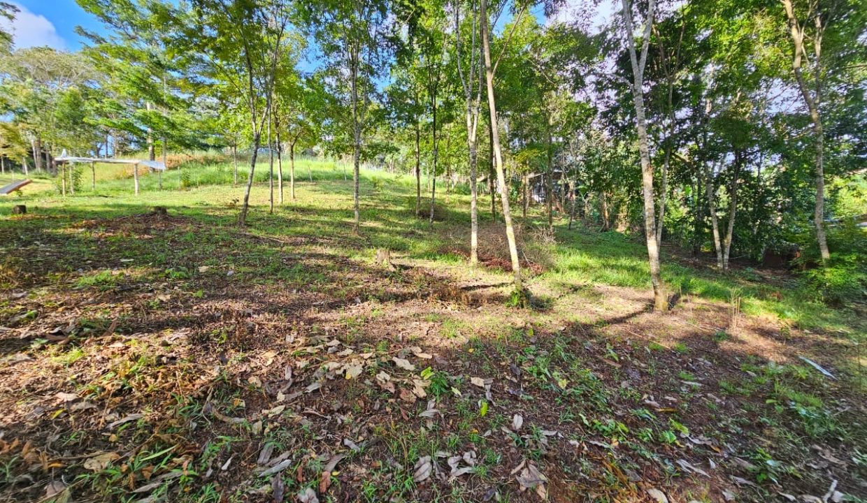 Finca Jhonny Villa Nueva Perez Zeledon Costa Rica (17)