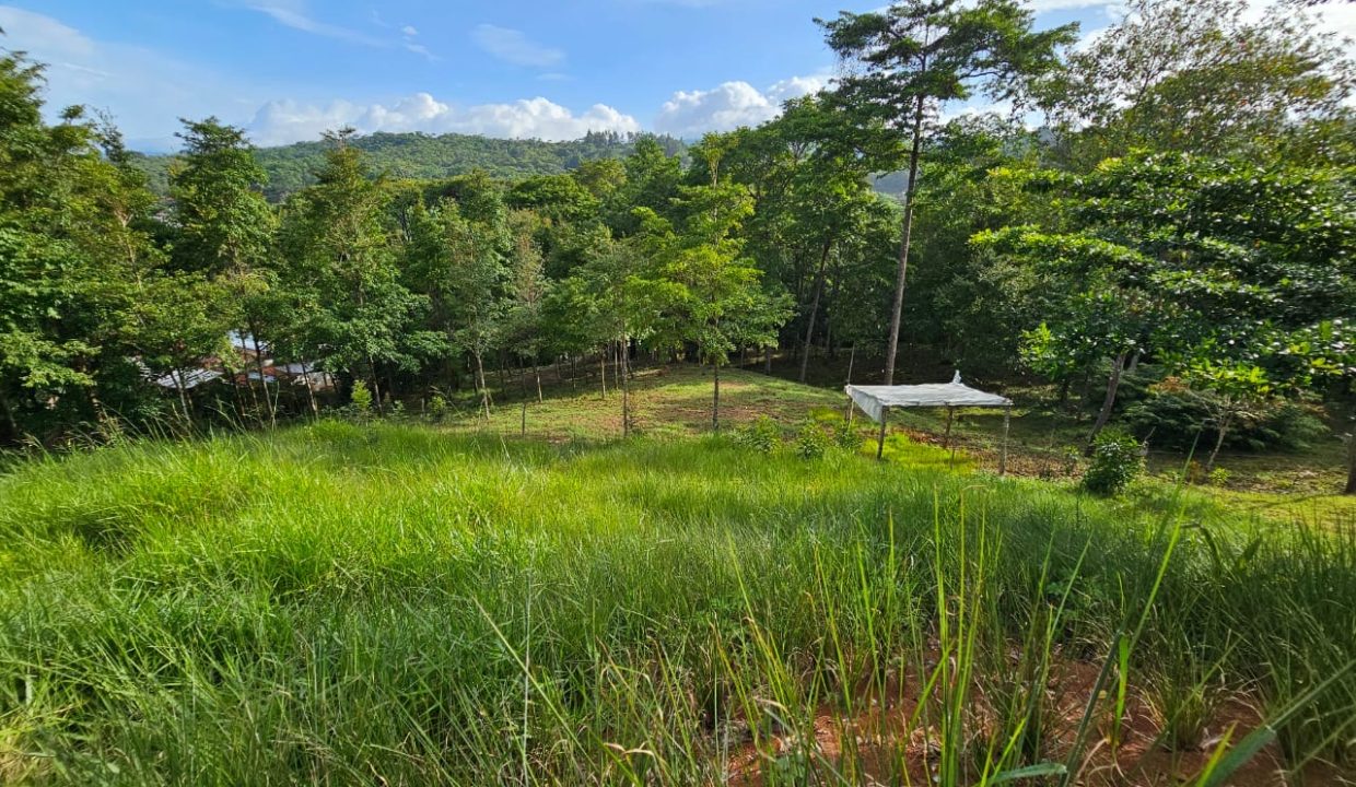 Finca Jhonny Villa Nueva Perez Zeledon Costa Rica (19)