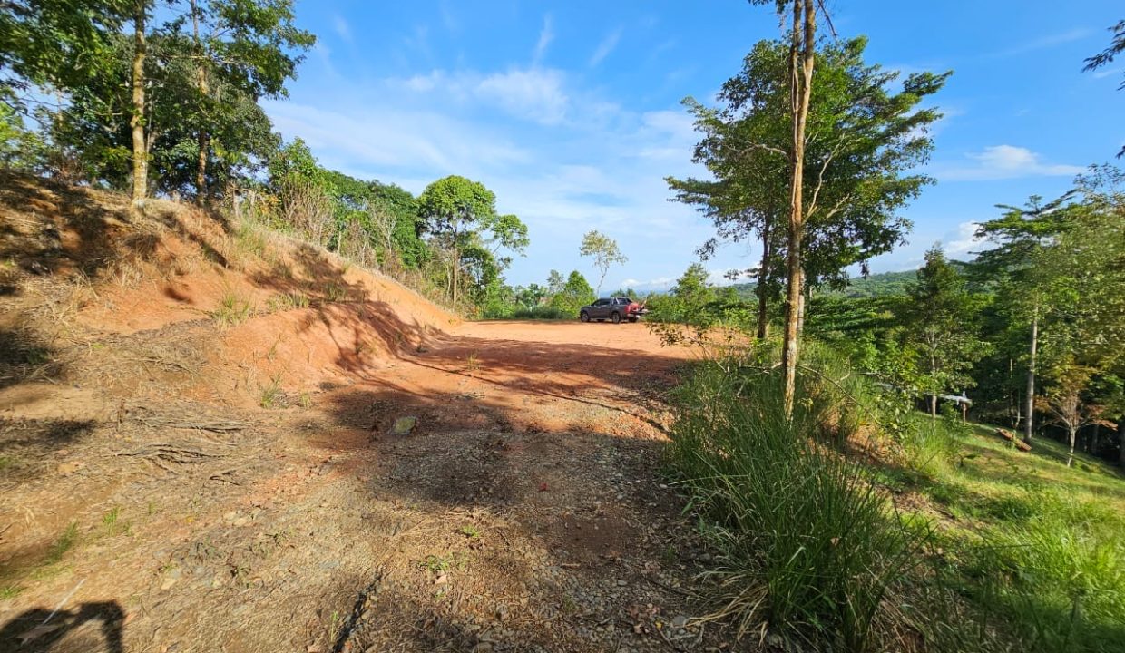 Finca Jhonny Villa Nueva Perez Zeledon Costa Rica (2)