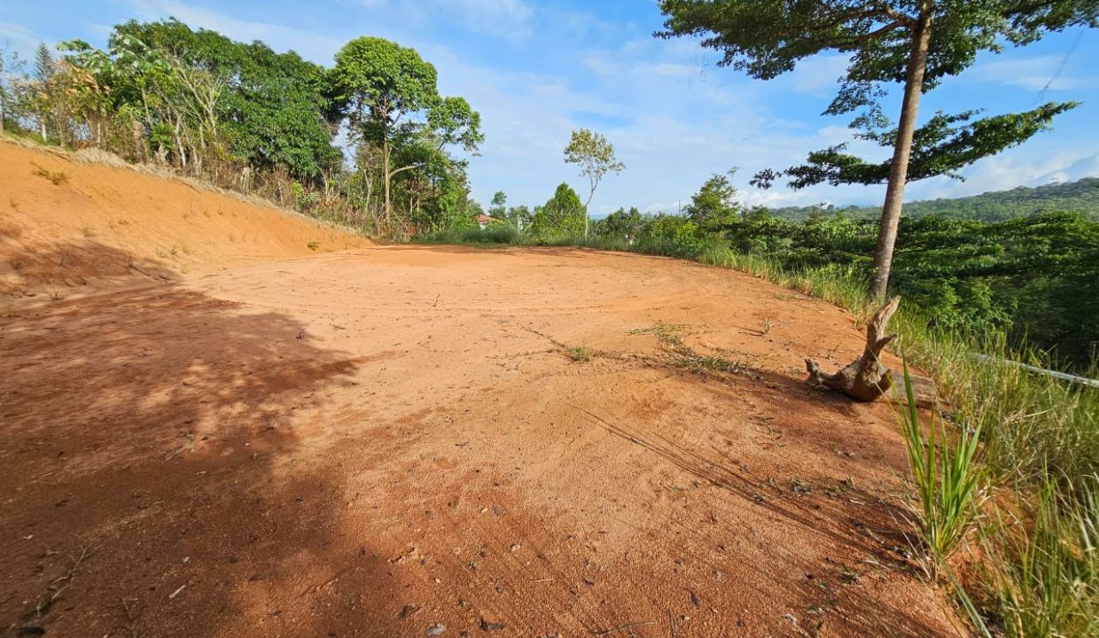 Finca Jhonny Villa Nueva Perez Zeledon Costa Rica (24)