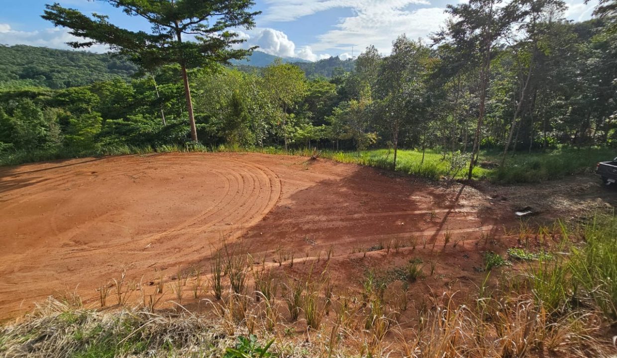 Finca Jhonny Villa Nueva Perez Zeledon Costa Rica (3)