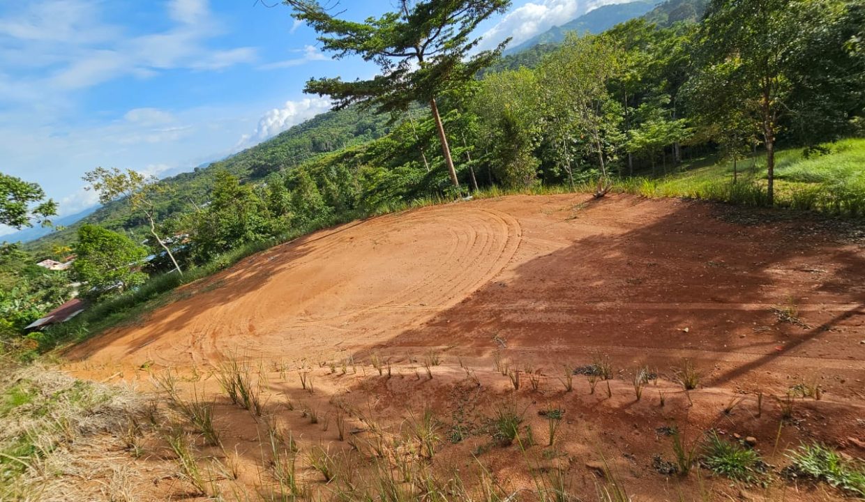 Finca Jhonny Villa Nueva Perez Zeledon Costa Rica (4)