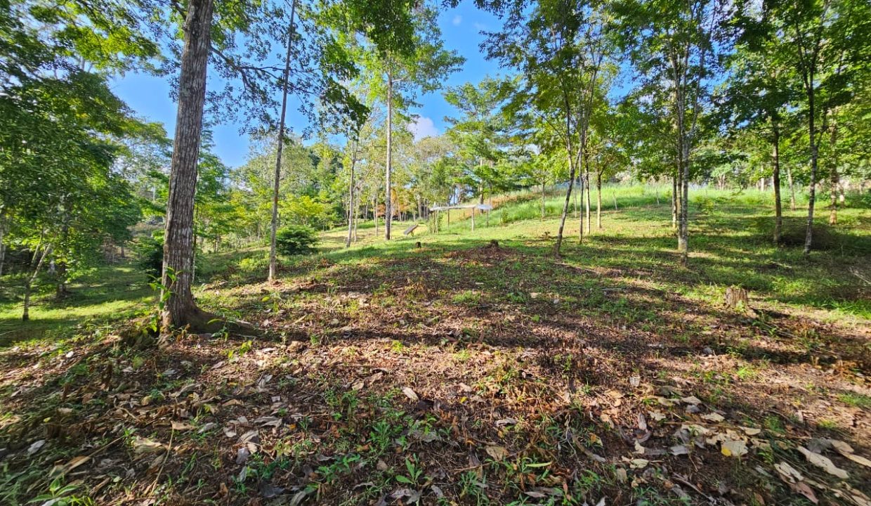 Finca Jhonny Villa Nueva Perez Zeledon Costa Rica (6)