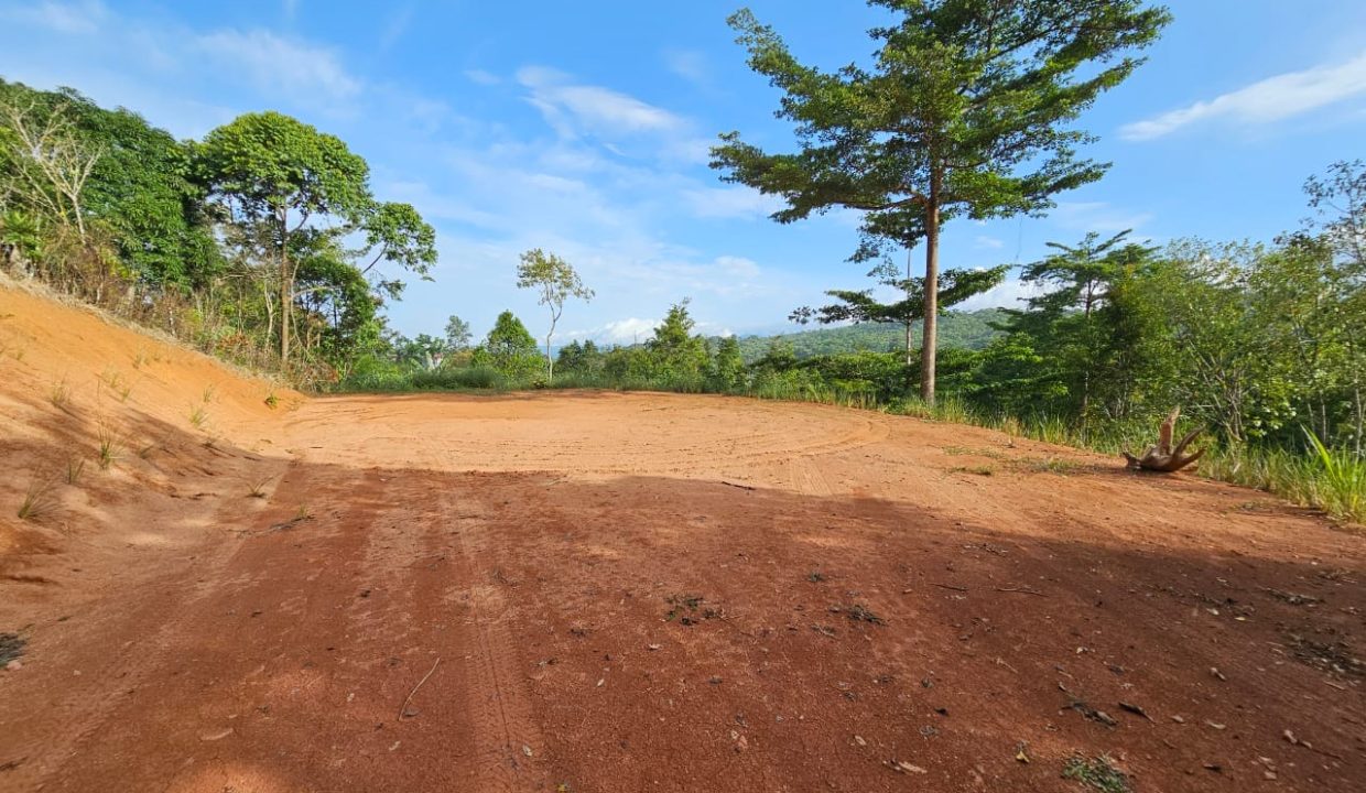 Finca Jhonny Villa Nueva Perez Zeledon Costa Rica (7)