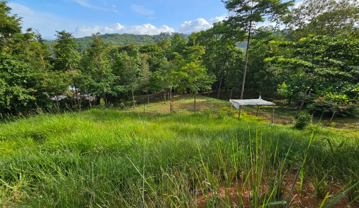 Finca Jhonny Villa Nueva Perez Zeledon Costa Rica (9)