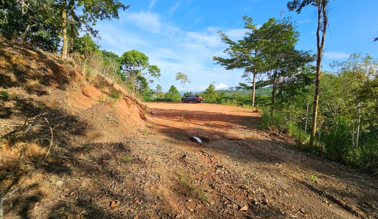 Finca Jhonny Villa Nueva Perez Zeledon Costa Rica (99)