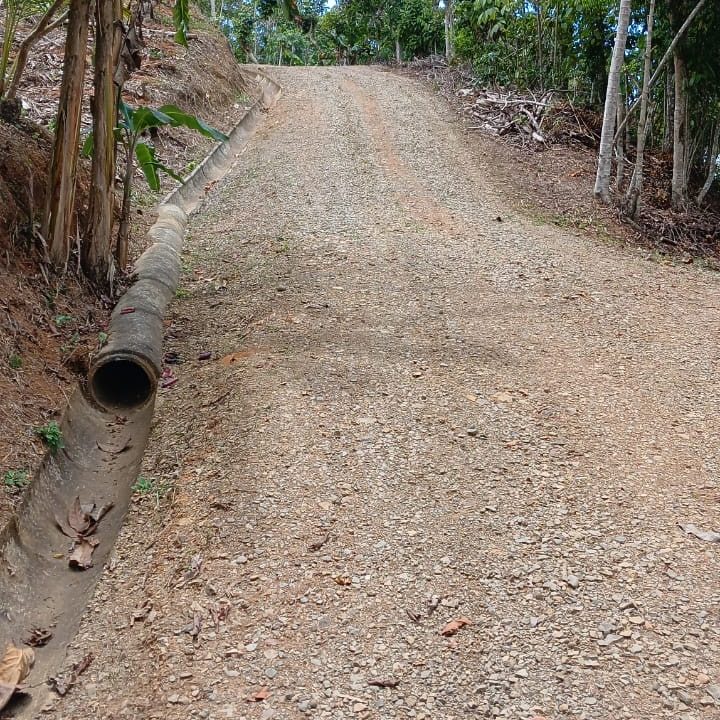 0f5cd611-19b8-44bb-bfaf-a829cbcae5fc