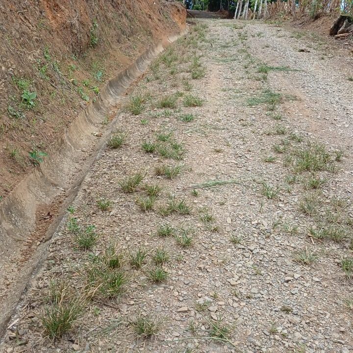 4bb59fc2-2ee5-4f56-9a64-5b426153aef4(1)