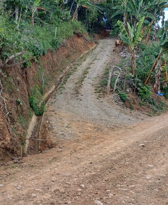 6c7d40ff-ff56-4580-b5ae-493567230f49