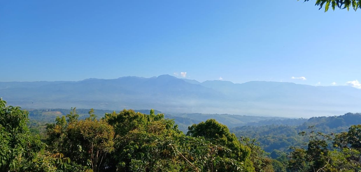 7f0d080c-cea2-40db-9d27-54ca77220f31