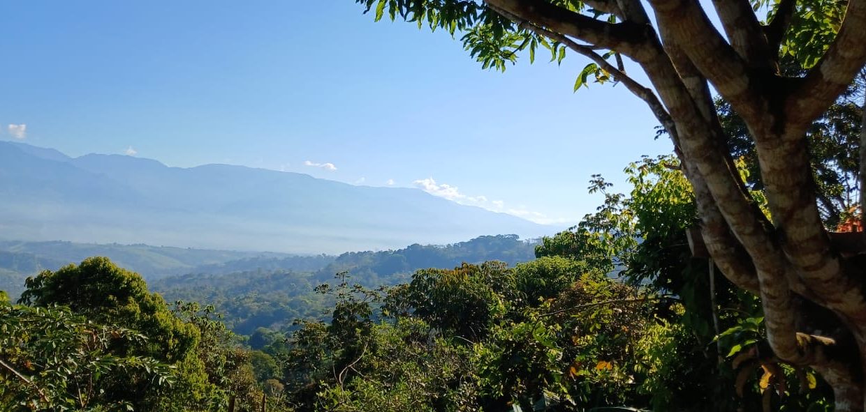 9af4486d-ddc9-4e73-a5ad-0dfb00e7822e