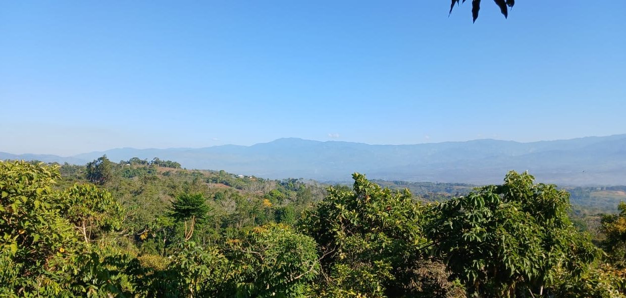 e610082b-ca4f-4907-a7a8-f731f584e1fa