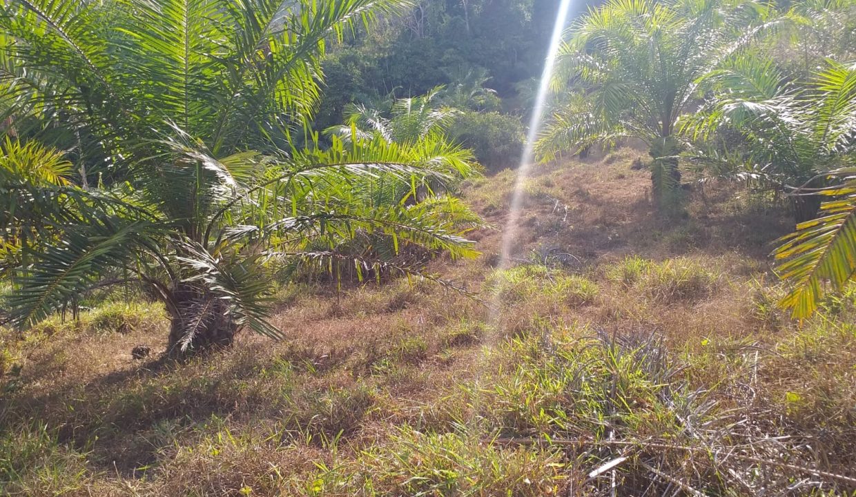 2aba826a-1b06-473b-ac88-75a3aedd8003