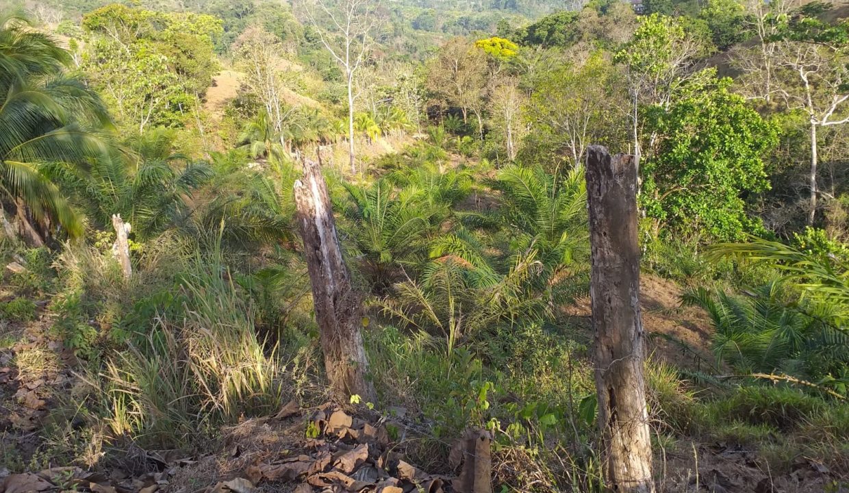 3402cb30-1c91-4952-957a-1b4eaffca2a7