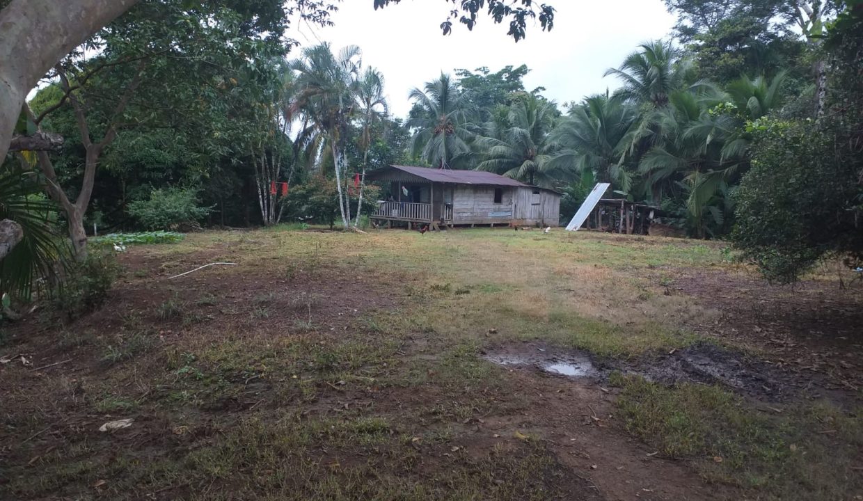 35cc3365-9aaf-4c6b-8a37-14dc55c08dd1