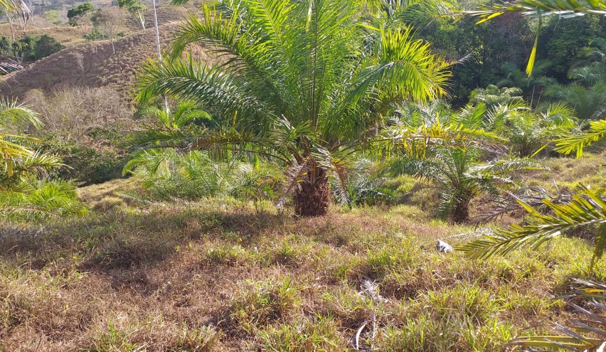 3891cb15-cf95-43d4-9d8d-ac3564e99a97