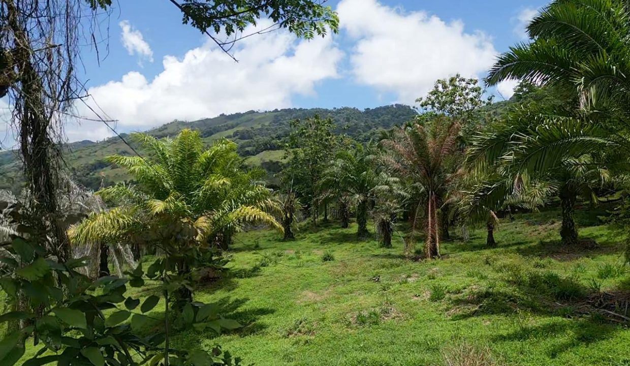 4eafabd0-4de5-4a6a-a1e8-c55604ac2d4c