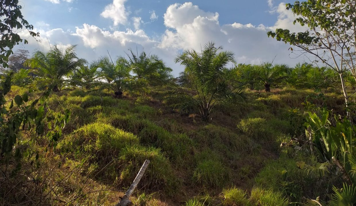 57b93c77-64d5-4864-80d5-fbd530b45980