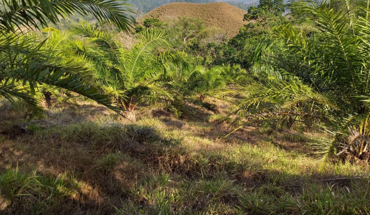 649492b4-19b7-4a3e-bdff-f8b4144fff1b