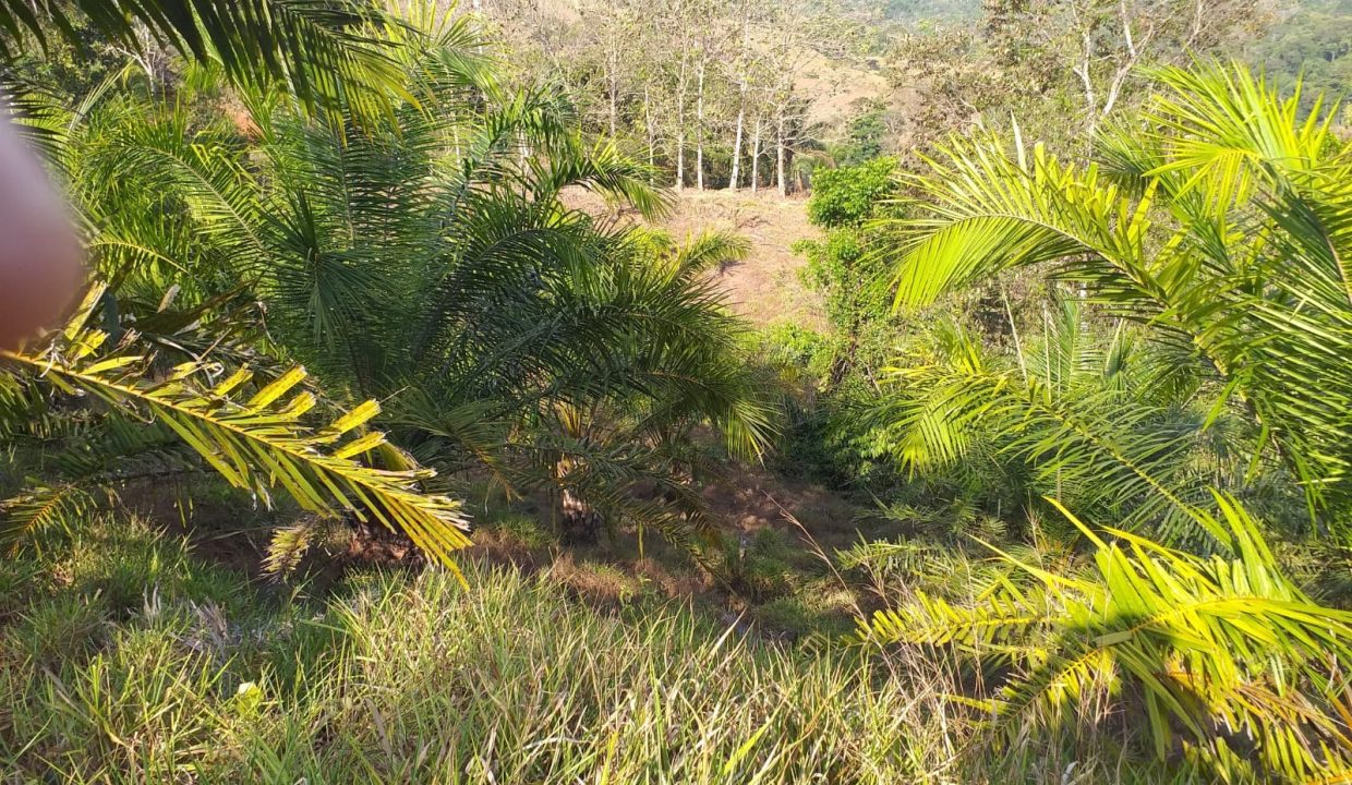 74199f8d-b308-4a43-8e25-c19bfe2fb439