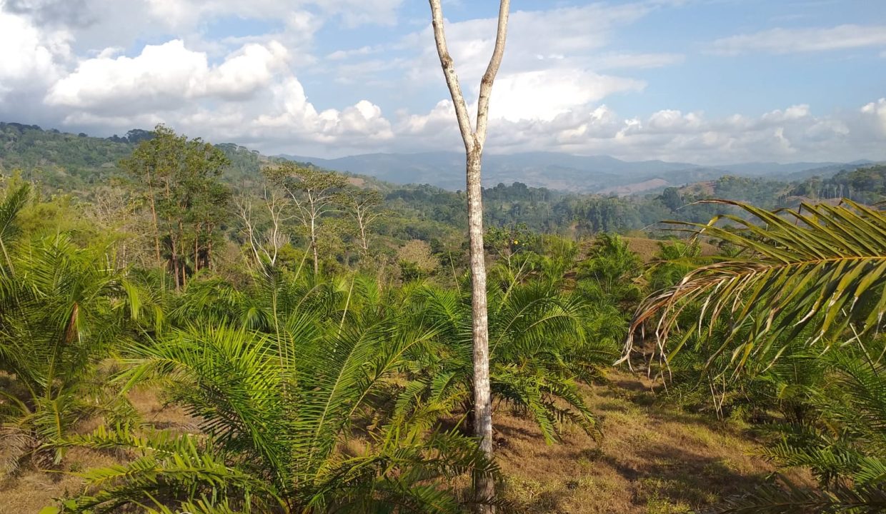 997dd682-f2c1-4e8a-a338-fe4a3562042e