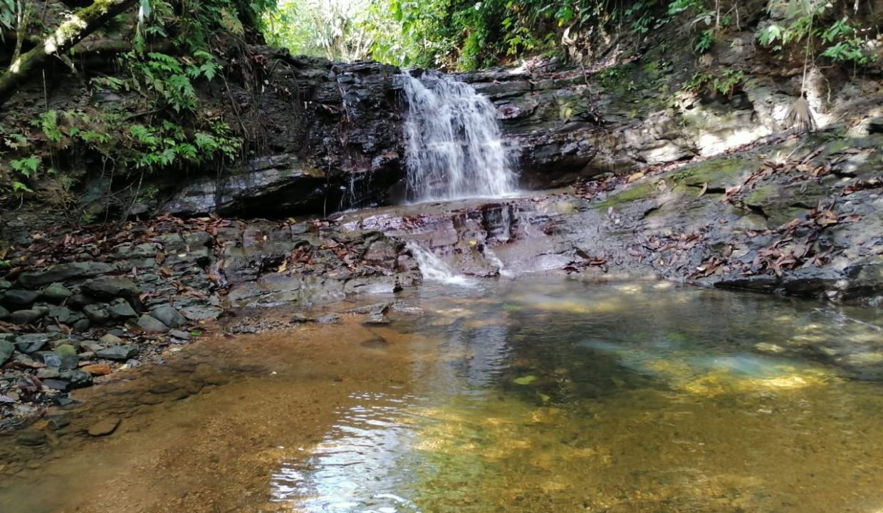 Finca 7 hectareas Tierras Morenas Costa Rica (2)