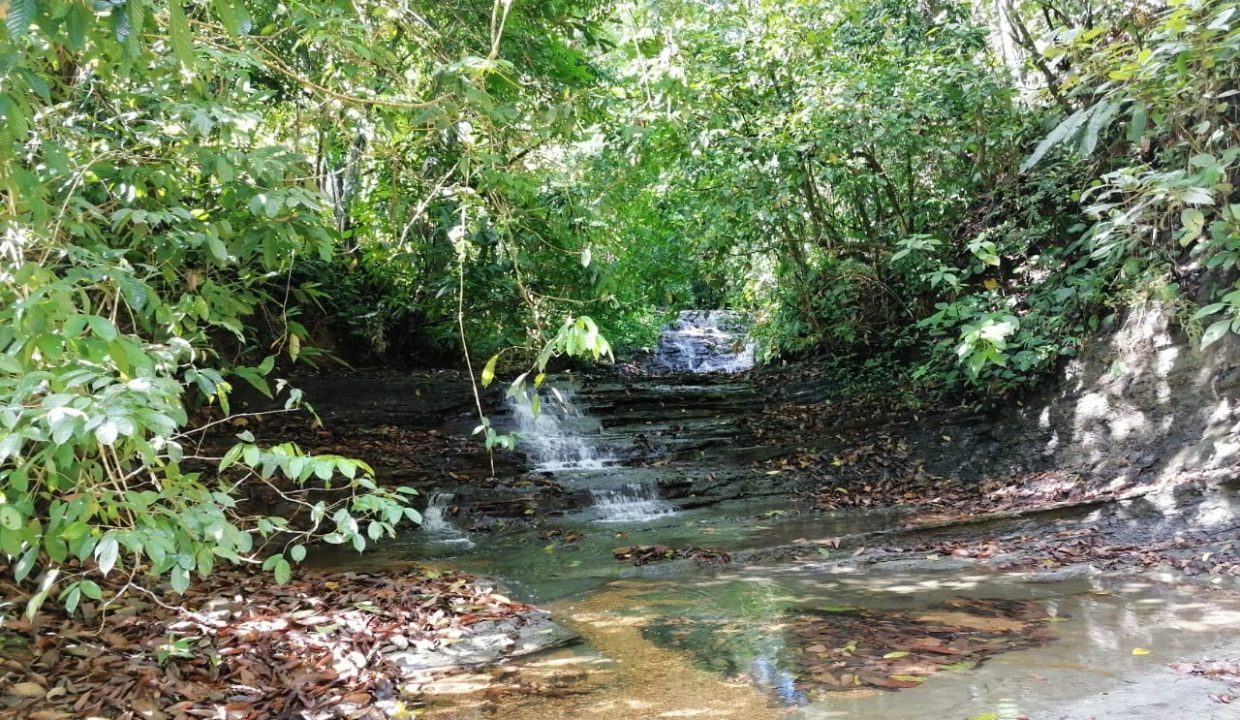 Finca 7 hectareas Tierras Morenas Costa Rica (4)