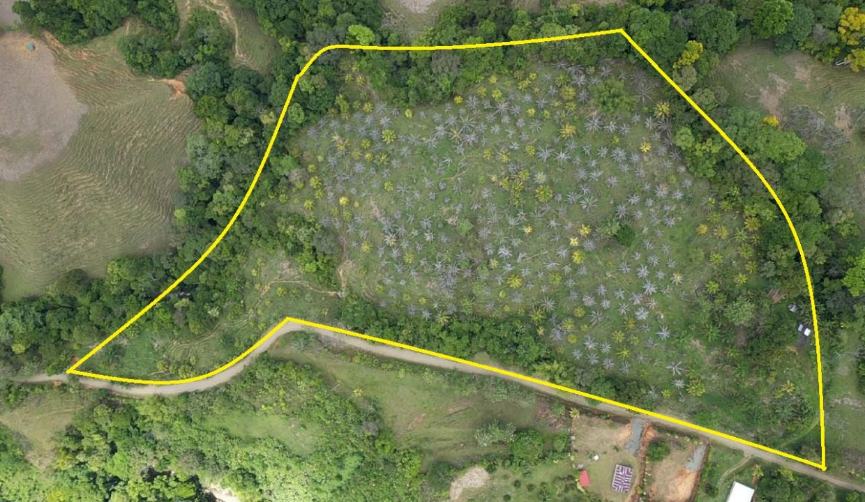 PHOTO-2026-04-29-14-48-47