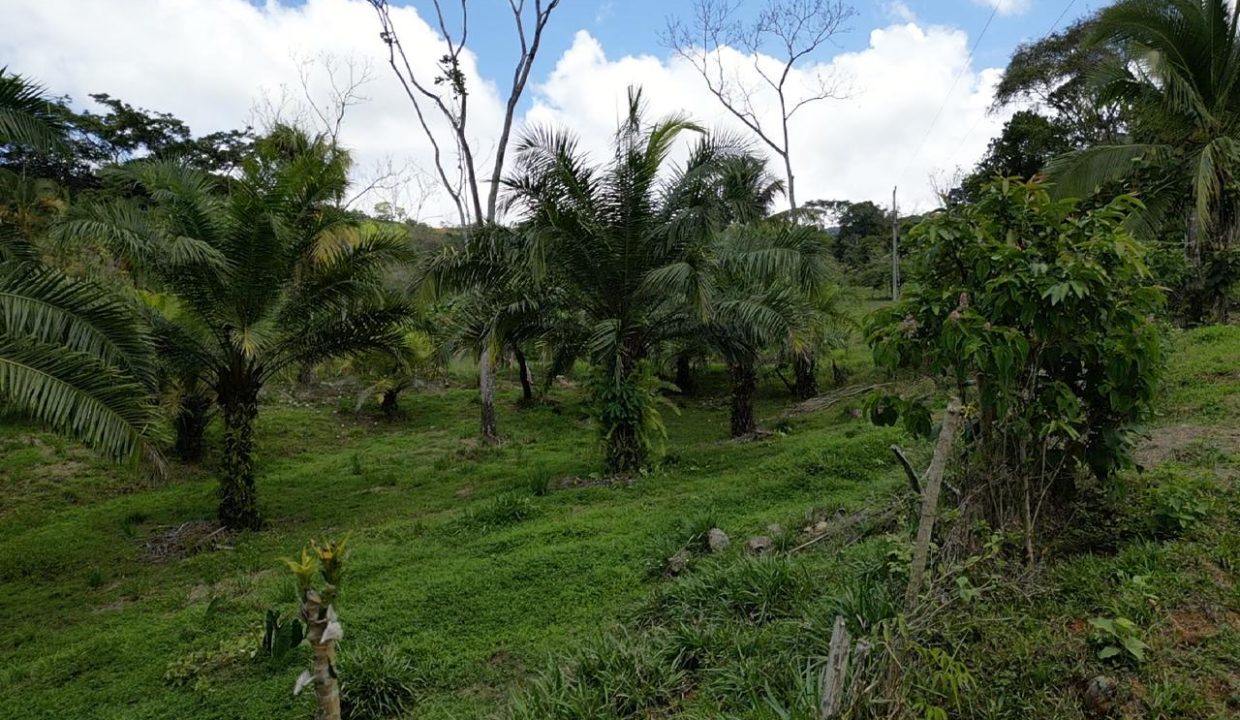 a34b2284-94fe-4940-a464-ccfe7d5af56c