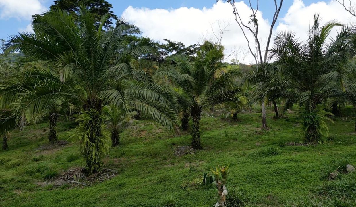 ae75f9c6-acc6-47d5-bfd0-103282ca31e1