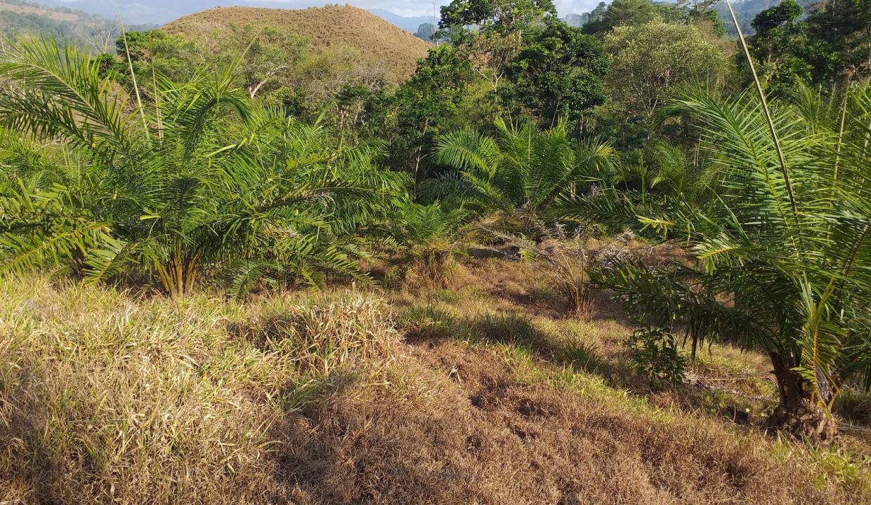 e7797638-c2ea-44ec-87a7-490ce56a2fbc