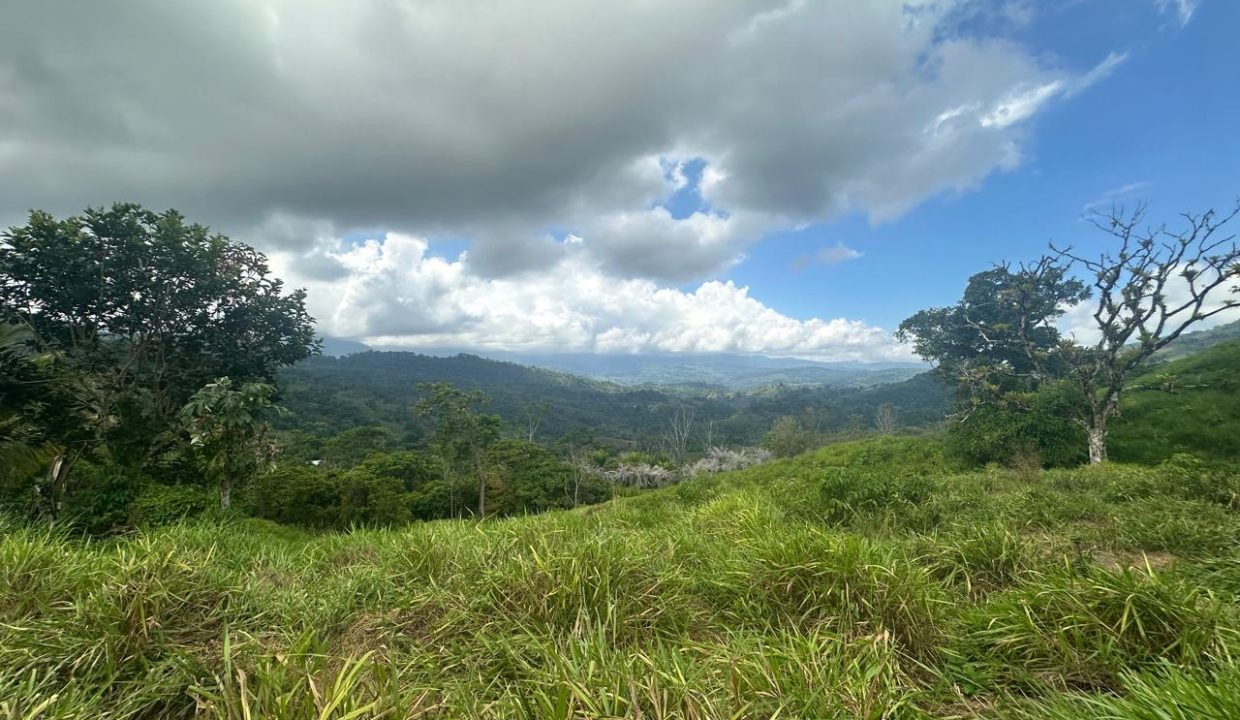 Finca en venta Tierras Morenas Costa Rica (11)