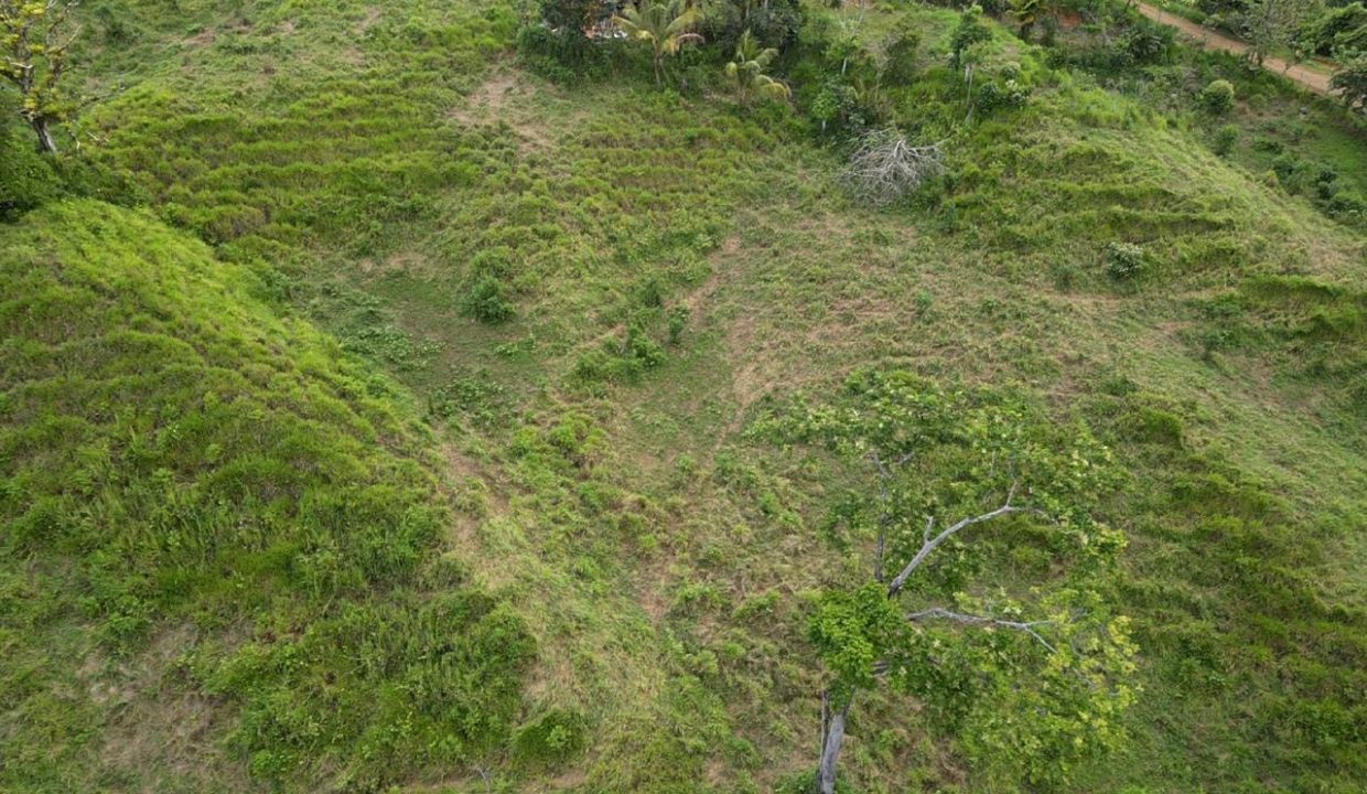 Finca en venta Tierras Morenas Costa Rica (12)