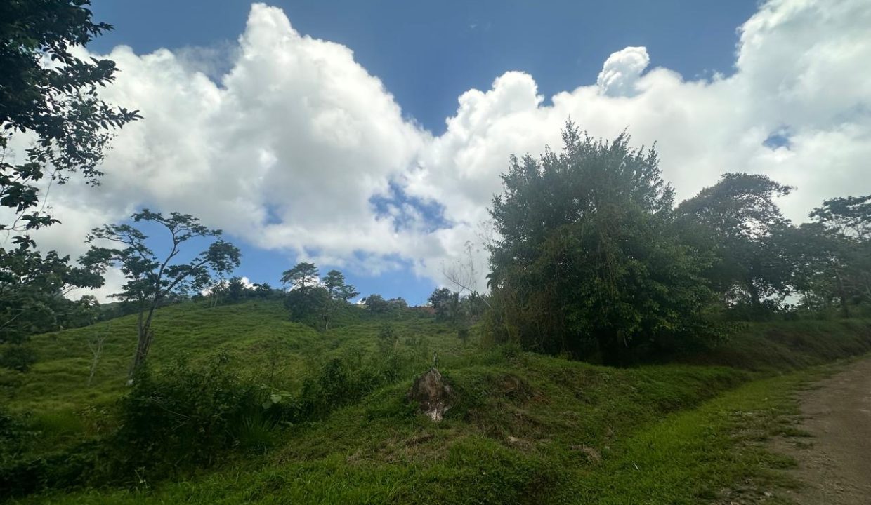 Finca en venta Tierras Morenas Costa Rica (14)